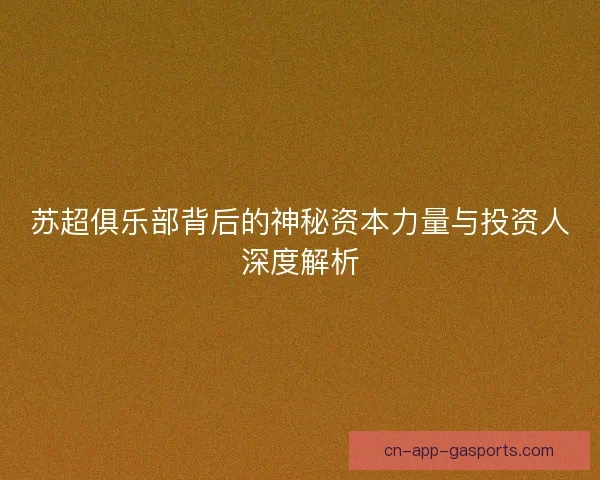 苏超俱乐部背后的神秘资本力量与投资人深度解析